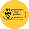 BSI Logo